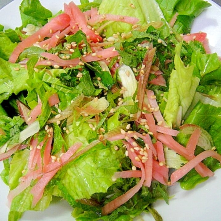 香味野菜のグリーンサラダ